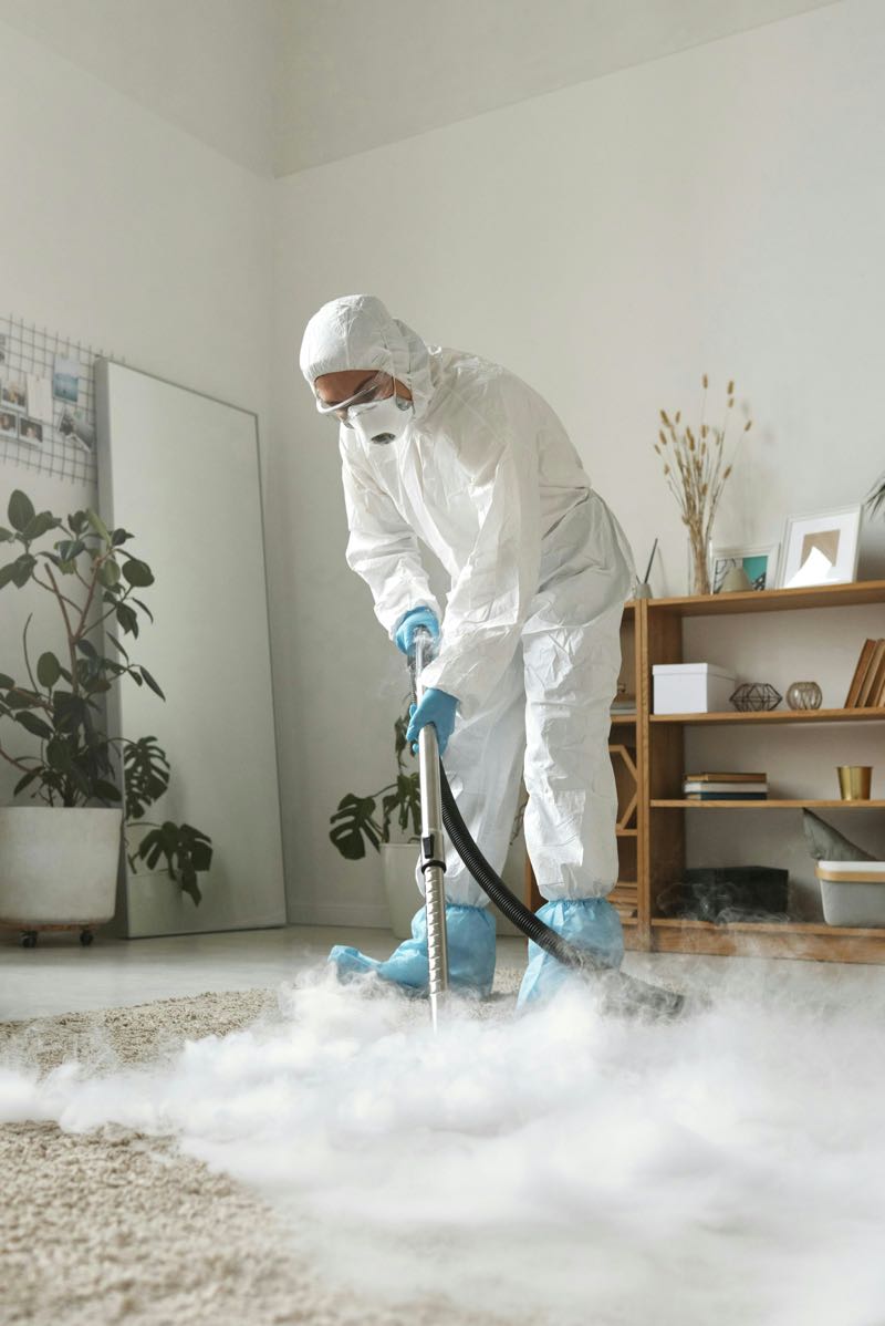 Décontamination vapeur sèche d'une moquette en intérieur